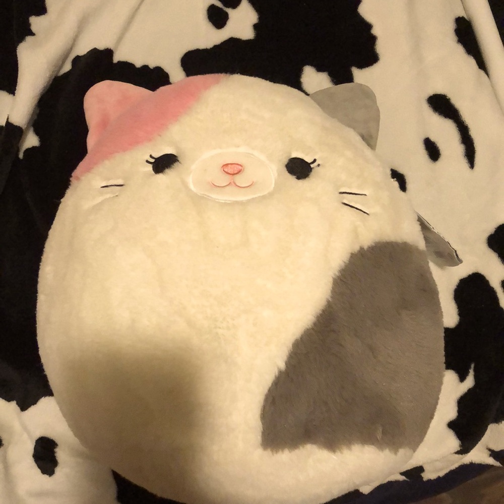 Cat Squishmallow